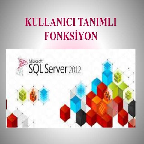 Kullanici tanimli fonksi̇yons