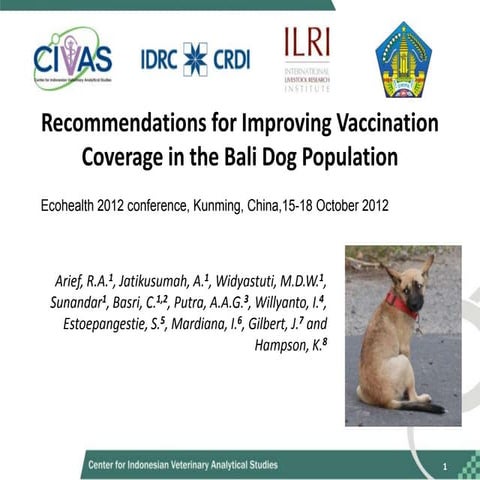 Recommendations for improving vaccination coverage in the Bali dog population