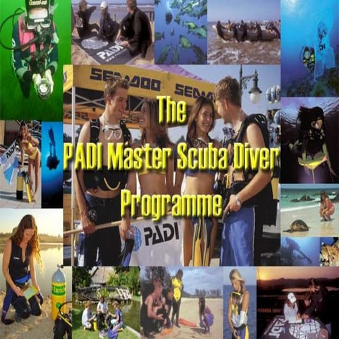 Kurs nurkowania msd prezentacja p.