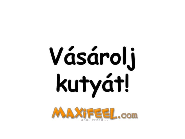Kutya