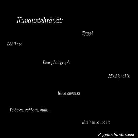 KU7 | peppinasuutarinen_1