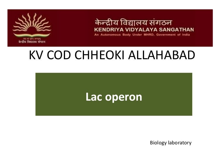 Lac Operon for class 12th