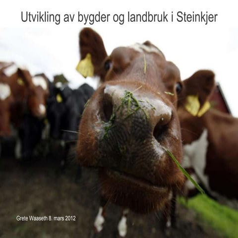 Utvikling av bygder og landbruk i Steinkjer