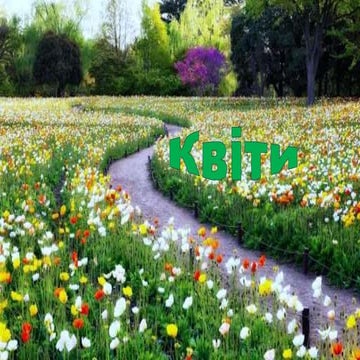 Квіти — яскраві барви весни