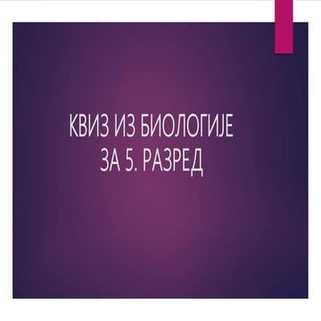 Kviz pitanja za učenike 5.razreda