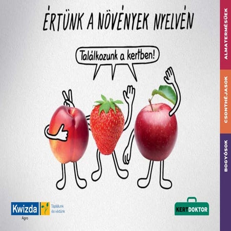 Kwizda gyümölcs kertdoktor 2016