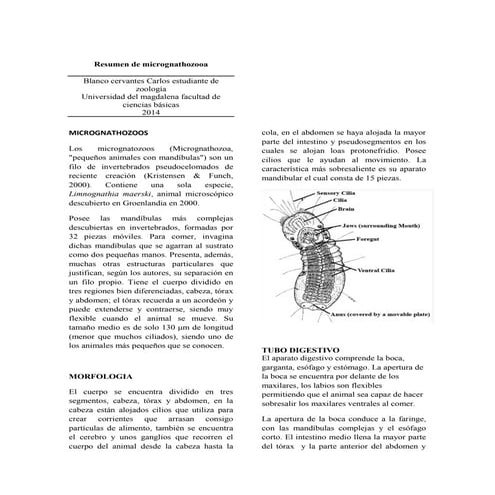 Resumen de micrognathozooa