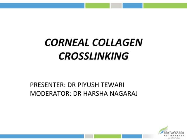 Find Out The Biggest Myths Perpetrated About Collagen Facial Cream
