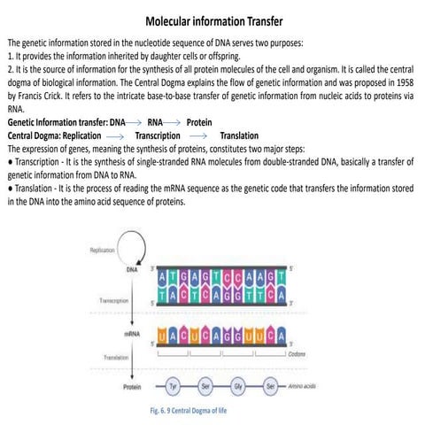 information transfer biology for engineering notes | PDF