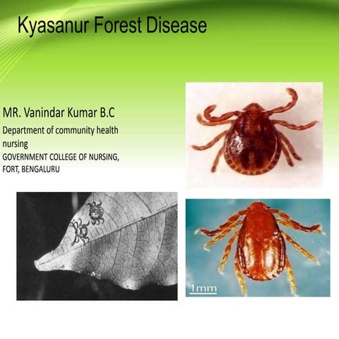 Kyasanur forest disease, community health nursing