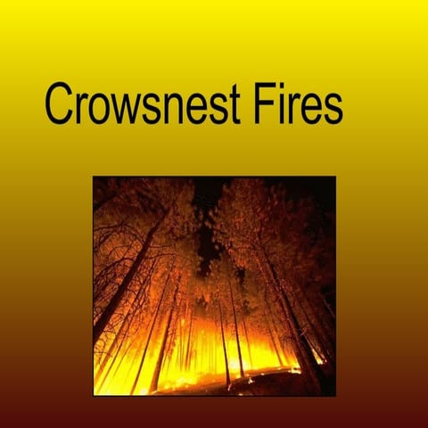 Kyle Debolt Crowsnest Fire Redone Ghi