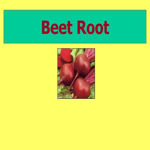beetroot production technology vegetable crop