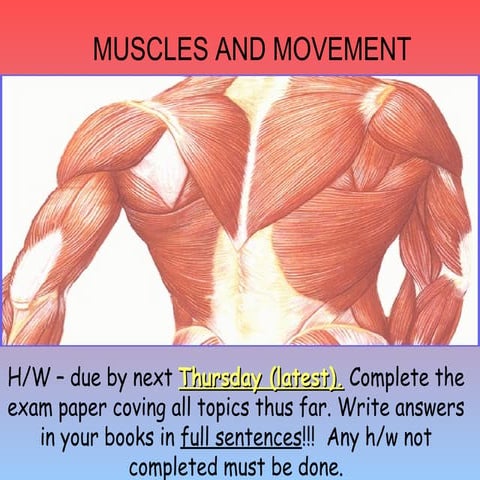 L 11. Muscles And Movement New