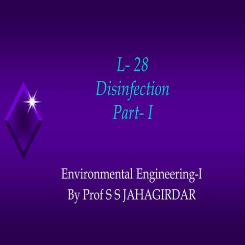 L 28 disinfection