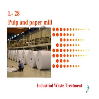 L  28  pulp and paper mill