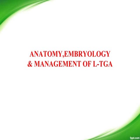 L tga anatomy, management-