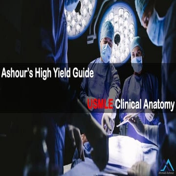 L019 Upper Limb Vesseles / Upper Limb Vesseles / Upper Limb Vesseles.pdf
