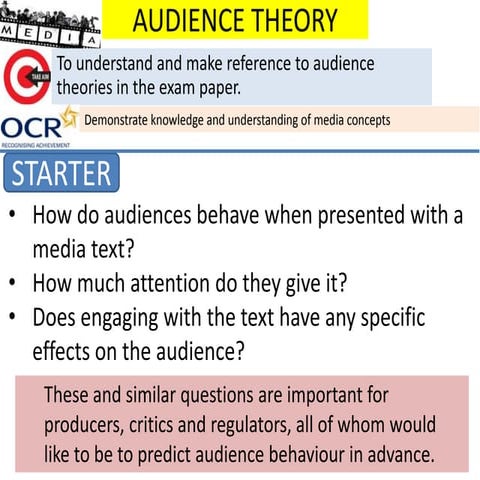 Audience theory