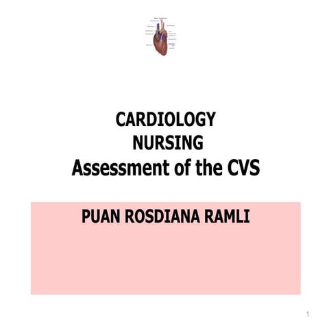 L1  cvs assessment