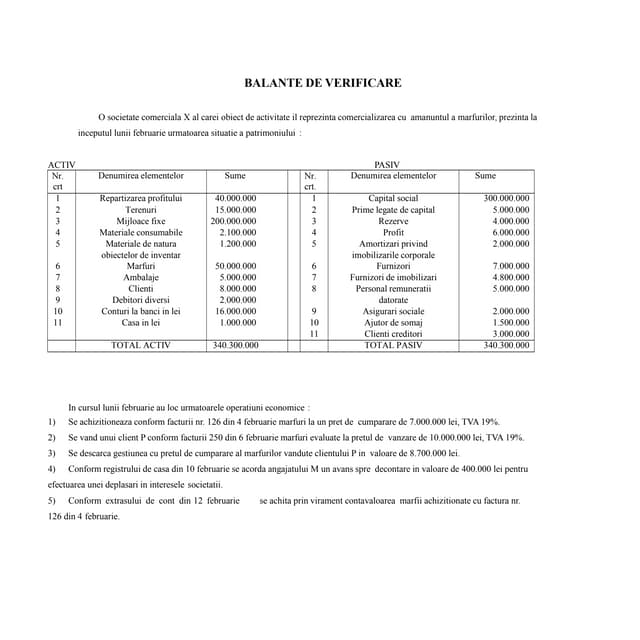 Balanta de verificare - aplicatie 