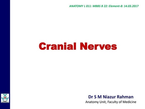 Ppt Chapter 15 Cranial Nerves Powerpoint Presentation Visual System: