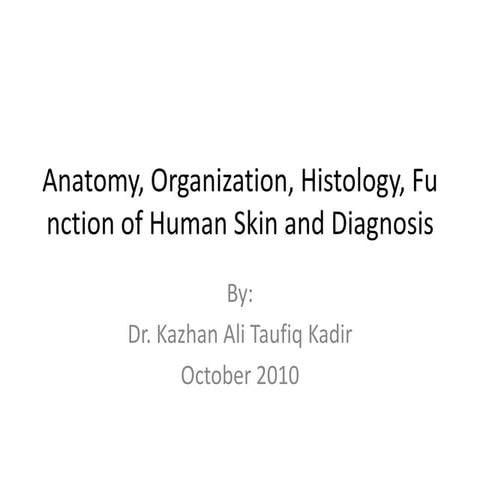 Dermatology 5th year, 1st lecture (Dr. Kazhan)