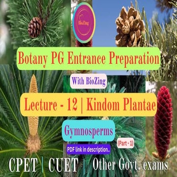 gymnosperm bsc botany honours , chse biology, cpet | PPTX