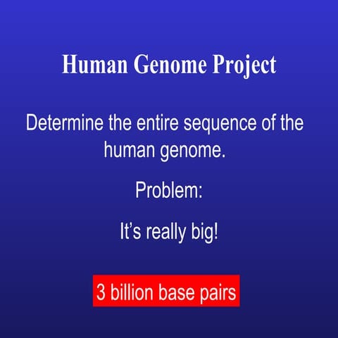 L14 human genome