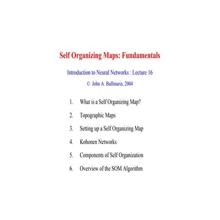 Self Organizing Maps: Fundamentals | PDF