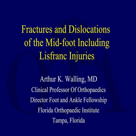 L16 lisfranc &amp; midfoot inj