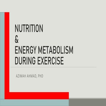L1 ENERGY METABOLISM DURING EXERCISE.pdf