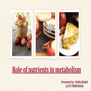 role of nutrients in metabolism