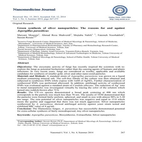 Green synthesis of silver nanoparticles using stem extract of Berberis ...