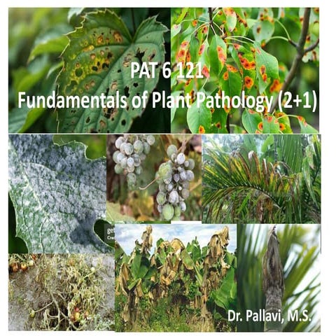 Introduction to plant pathology | PDF
