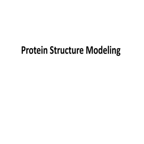 L1Protein_Structure_Analysis.pptx