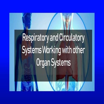 L1 Respiratory System.pptx