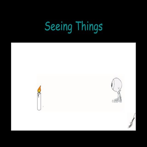 L1 seeingthings