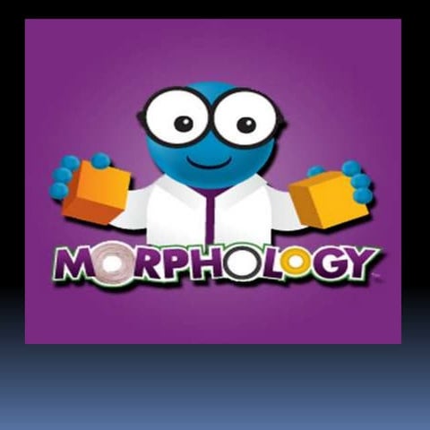 Introduction to WBCs Disorders