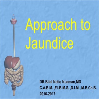 L2. approach to jaundice