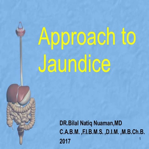 L 2. approach to jaundice