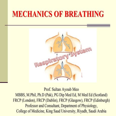 Breathing mechanics presentation systems