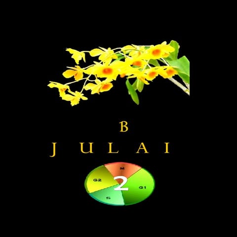 Morfologi & Pengkelasan (1)