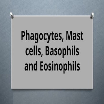 L2a_Phagocytes, Mast Cells, Basophils and Eosinophils.pptx