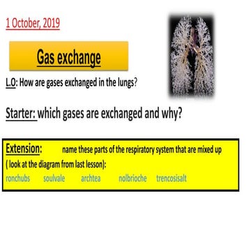 L2 gas exchange