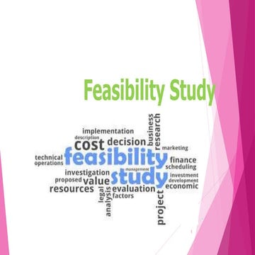L2 PM Project Feasibility study.pptx