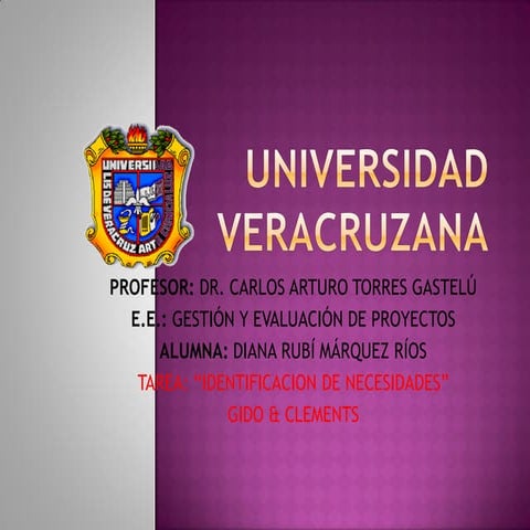 Identificación de necesidades problemas y oportunidades | PPTX