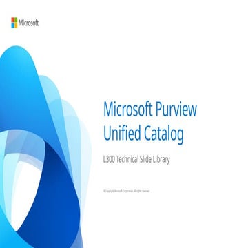 Microsoft Purview Data Governance L100 Pitch Deck.PPTX