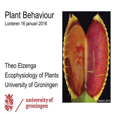 L37 gedrag van planten, kan dat wel   theo elzenga