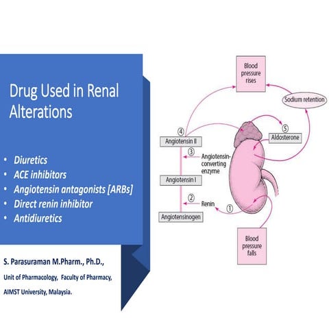 Drugs Used in Renal Alteration | PPTX