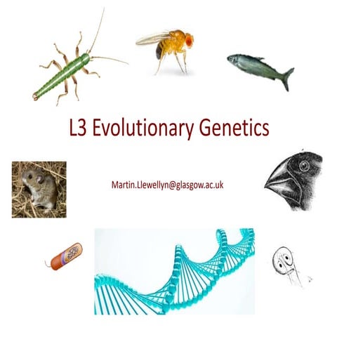 L3genetics_epigenetics_genomcs_2024.pptx